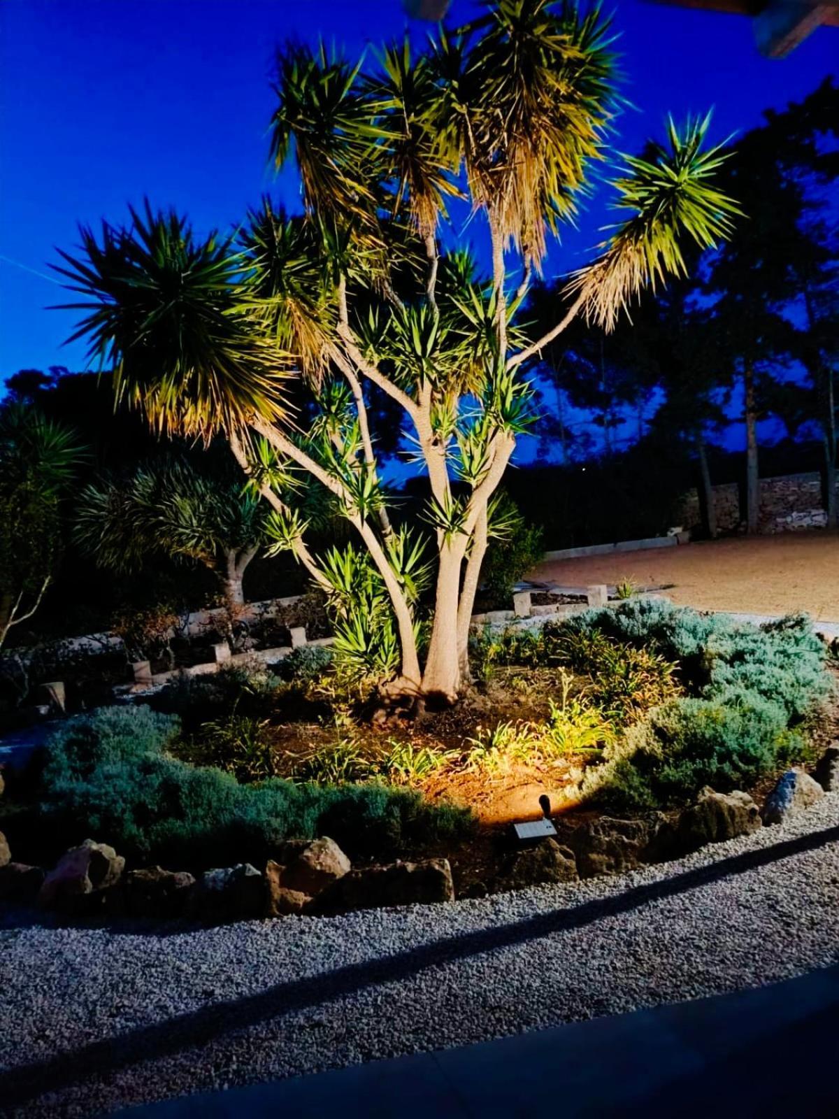 Villa Primavera فافينانا المظهر الخارجي الصورة