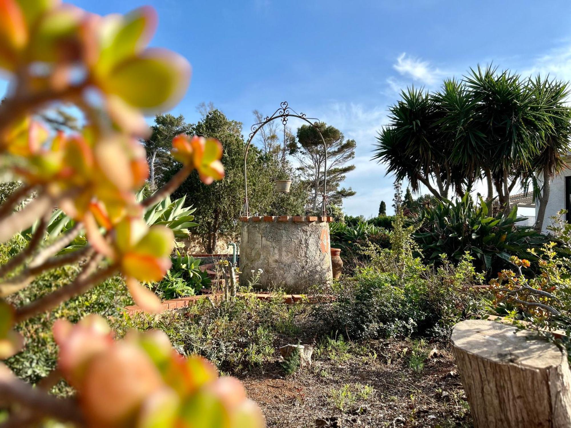 Villa Primavera فافينانا المظهر الخارجي الصورة